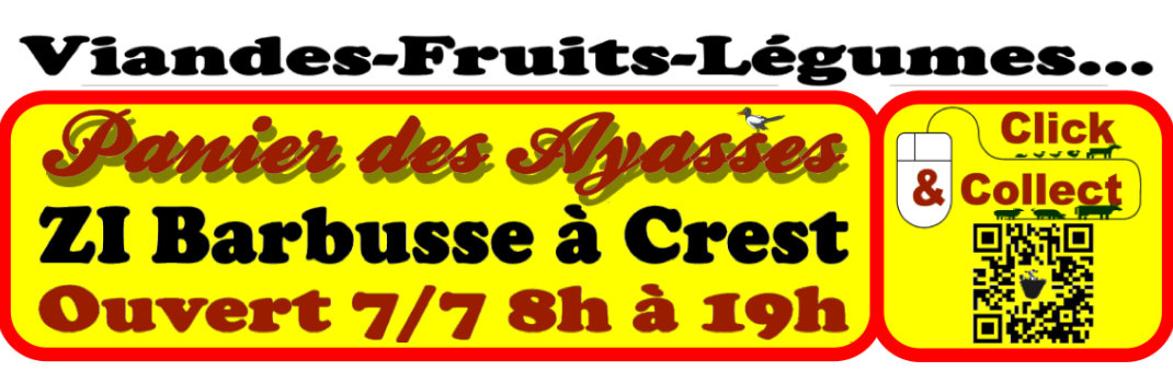 Ayasse